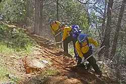 California Conservation Corpsmembers cutting fire control line.
