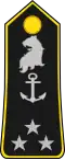 Vice-amiral (Cameroon Navy)