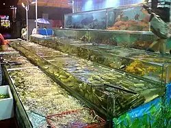 Due to Guangdong's location on the southern coast of China, fresh live seafood is a specialty in Cantonese cuisine. Such markets selling seafood are found across East Asia.