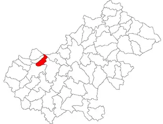 Location in Satu Mare County