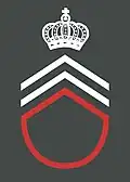 Caporal de corps / Korpskorporaal of korpsbrigadier