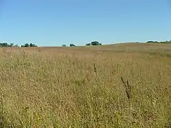 A rolling green and brown prairie, with a few trees in the background and a blue sky.