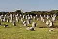 Carnac stones.