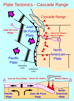 Image 35Image of the Juan de Fuca Plate that produced the magnitude 8.7–9.2 Cascadia earthquake in 1700. (from Geology of the Pacific Northwest)