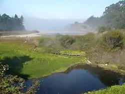 Former mill site in Caspar