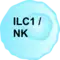 Graphic of an ILC1/NK cell