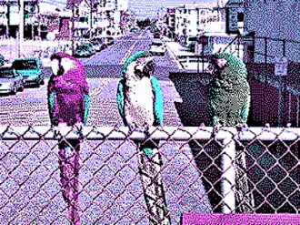 320&nbsp;×&nbsp;200 in 4 colors palette 1