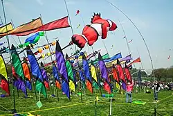 Blossom Kite Festival, March 31, 2012