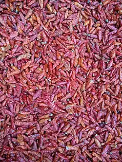 Purple chilies, Myanmar