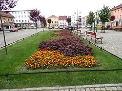 Flower beds in Chojnów