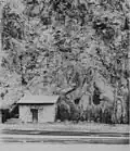 Early photograph of the Clifton Cliff Jail in Arizona. Notice the barred cell windows in the rock face.