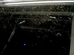 Cloud chamber with visible tracks from ionizing radiation (short, thick: α-particles; long,