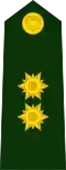 Brigadier general (Colombian National Army)[20]