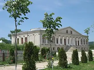 Negruzzi Mansion in Voineṣti