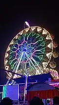 A ferris wheel at Rash Mela 2023