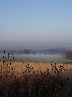 A view of the estate (December 2006)