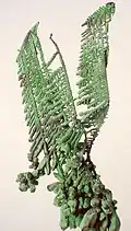 Dendritic native copper covered in verdigris from Broken Hill, New South Wales, Australia (6.5 cm)
