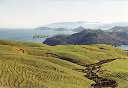 Northern Coromandel Peninsula landscape in the Coromandel Volcanic Zone