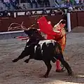 Tercio de muerte: Suerte de muleta.