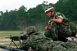 Comparison of Polish wz. 93 Pantera (left) and US Woodland camouflage.