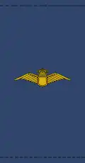 Insignia for conscripts in the Royal Danish Air Force