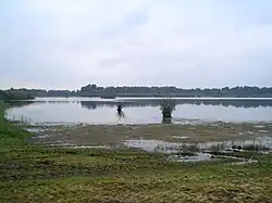"De Banen", a lake in the nature area "Sarsven en De Banen", near Nederweert