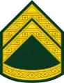 Korporal (Royal Danish Army)[41]