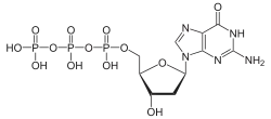 Skeletal formula of deoxyguanosine triphosphate