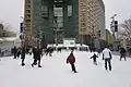 Campus Martius Park skating rink