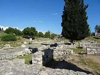 The Sacred Way from Miletus with the remains of the stoa