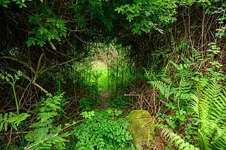 The entrance to the glen