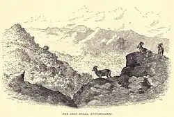Nilgiri Tahr, Annaimalai