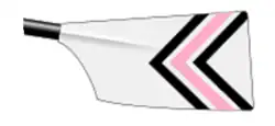 Image showing the rowing club's blade colours