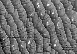 Olympia Undae dunes, as seen by HiRISE. Two sets of transverse dunes are visible, indicating varying wind direction. Olympia Undae is also known as the North Polar Erg.