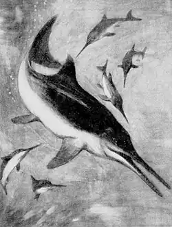 Ichthyosaur with young