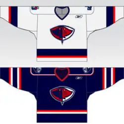 Current Stingrays home and away jerseys.