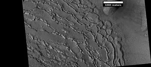 Well developed ribbed upper plains material. These start with small cracks that expand as ice sublimates from the surfaces of the crack. Picture was taken with HiRISE under HiWish program.