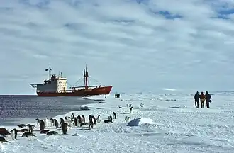 Early summer pack ice off Adélie Land (Antarctica)