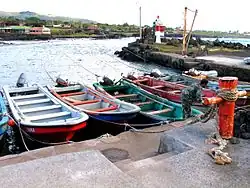 Fishing boats