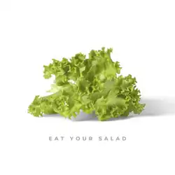 The official cover for "Eat Your Salad"
