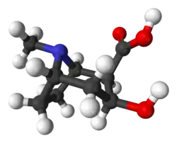 Ball-and-stick model of the ecgonine molecule