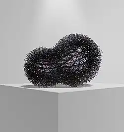 Echinoid By Racso Jugarap