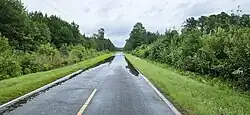 Eddie L. Jones Road in Ivanhoe, after Hurricane Idalia (August 2023)