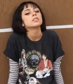 Image 27An example of an e-girl's aesthetic (from 2010s in fashion)