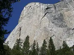 El Capitan's 'Wall of Early Morning Light': the 1970 Harding/Caldwell route goes up the tallest section of the cliff where it is continuously vertical or overhanging for the entire passage - the general line going straight up just slightly left of the left most grey waterstreak on the rim of El Capitan.