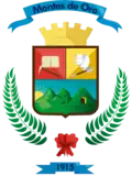 Official seal of Montes de Oro