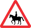 Equestrian crossing