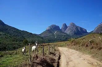 Horses in a bucolic scene in the rural region of the municipality