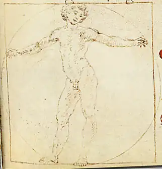One of Francesco di Giorgio Martini's three attempts at creating the ideal "Vitruvian Man"