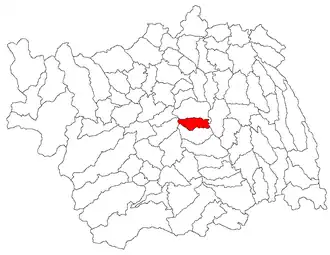 Location in Bacău County